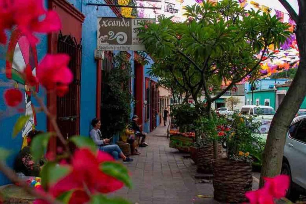 Calida Habitacion A 10 Min De Santo Domingo Oaxaca Kültér fotó