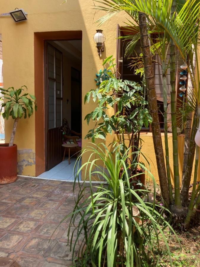 Calida Habitacion A 10 Min De Santo Domingo Oaxaca Kültér fotó